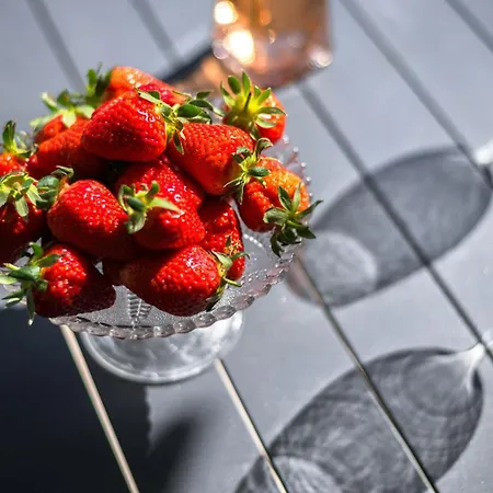 Apartment Rocamare - Piscine Toit Terrasse- Parking Prive *