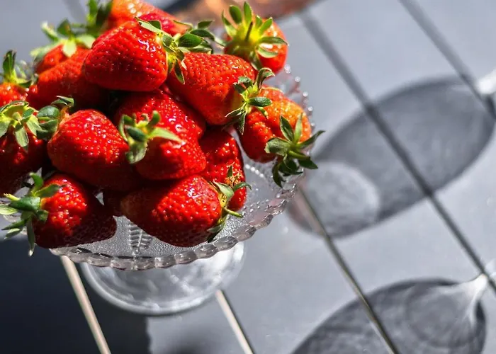 Le Rocamare - Piscine Toit Terrasse Parking Prive *